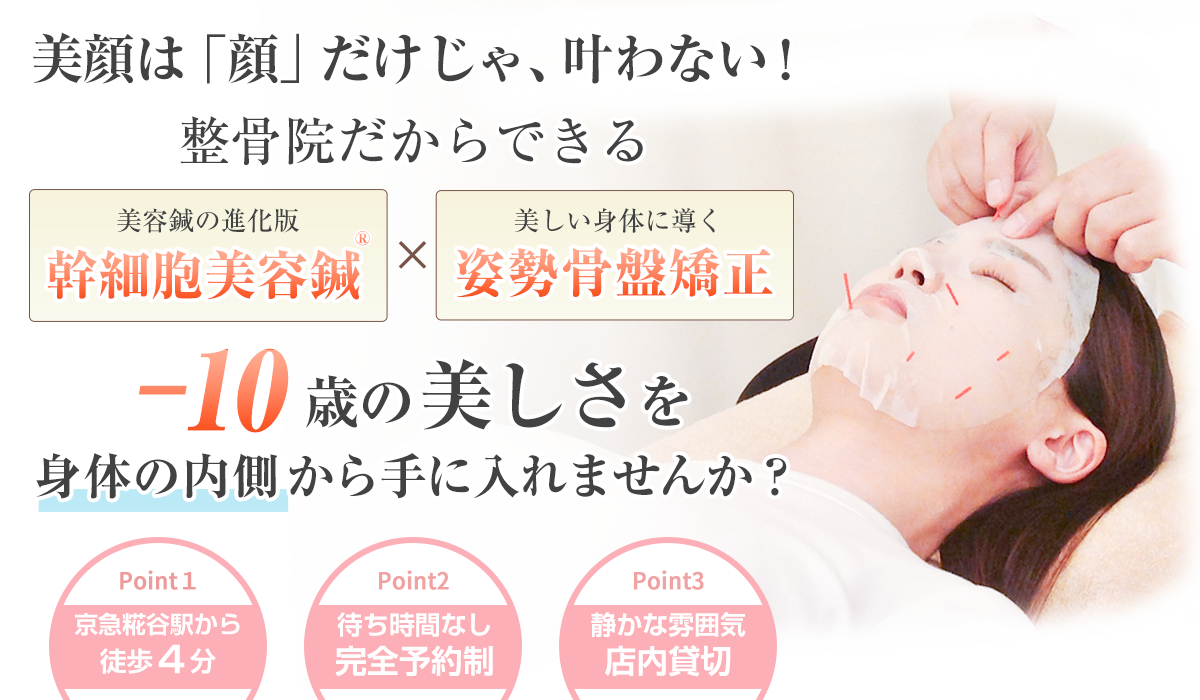 FV_sp_美容鍼