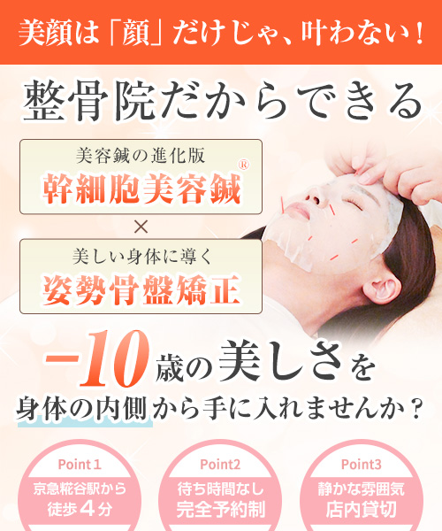 FV_sp_美容鍼
